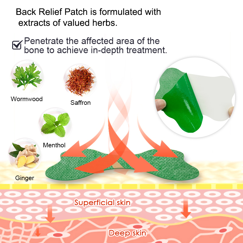 12/48PCS 허리 온찜질 일회용 허브 케어 스티커  - Skincare Herbal 리뷰 및 가격