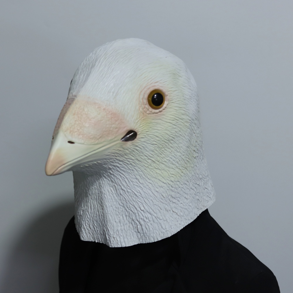 현실적인 갈매기 마스크 라텍스 새 머리 비둘기 마스크  - Skincare Pigeon 리뷰 및 가격