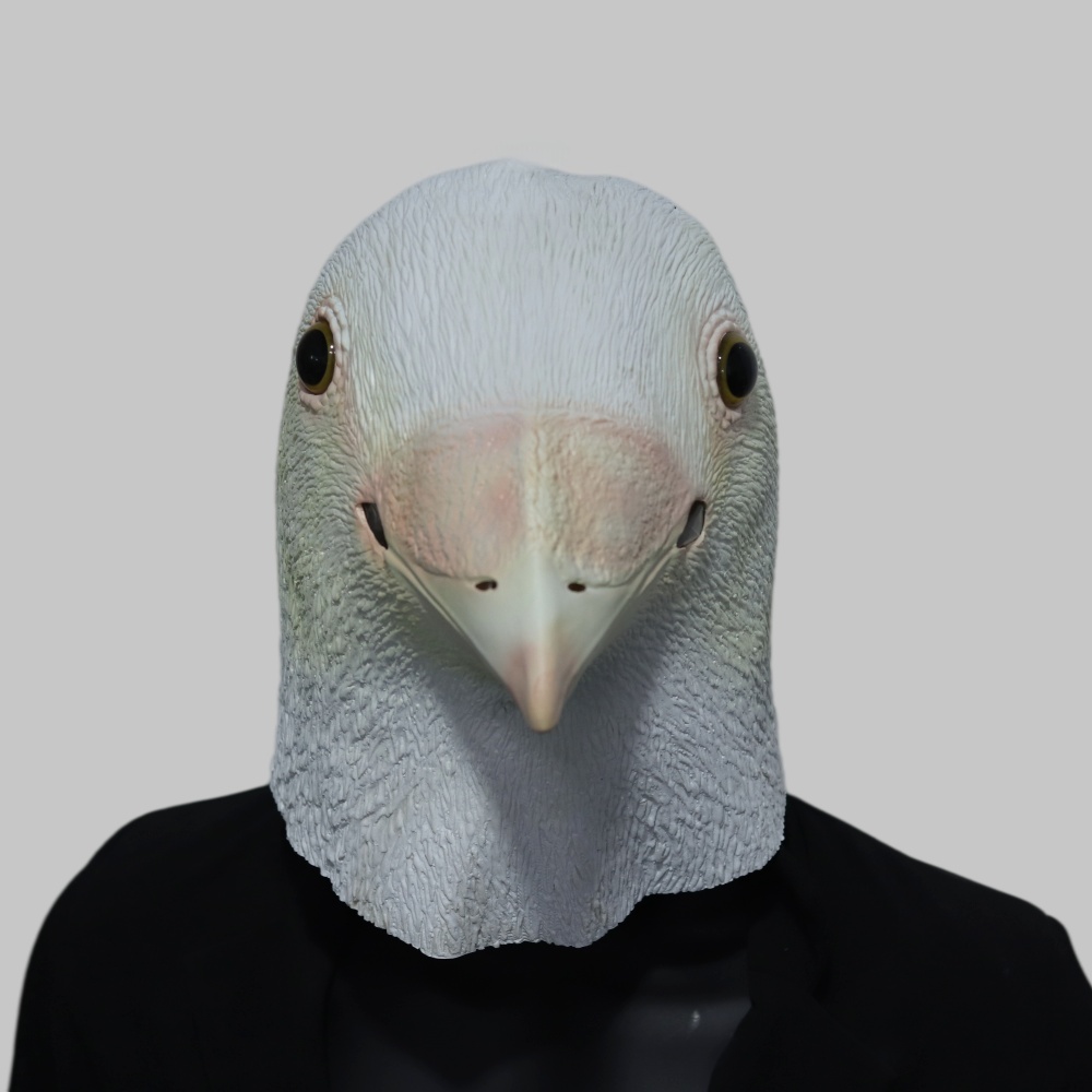 현실적인 갈매기 마스크 라텍스 새 머리 비둘기 마스크  - Skincare Pigeon 리뷰 및 가격